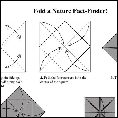 fact-finder folding directions