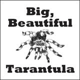 tarantula make-a-book