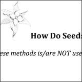 how do seeds spread?